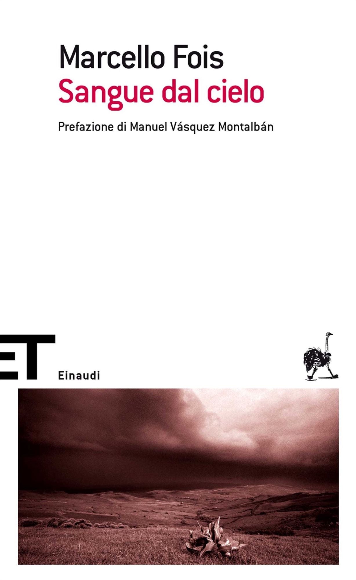 Sangue dal cielo