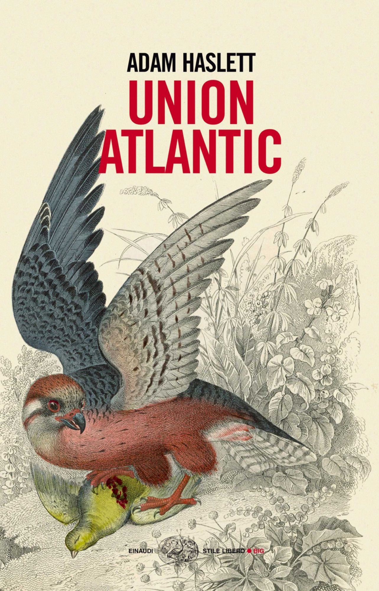 Union Atlantic (Italian Edition)