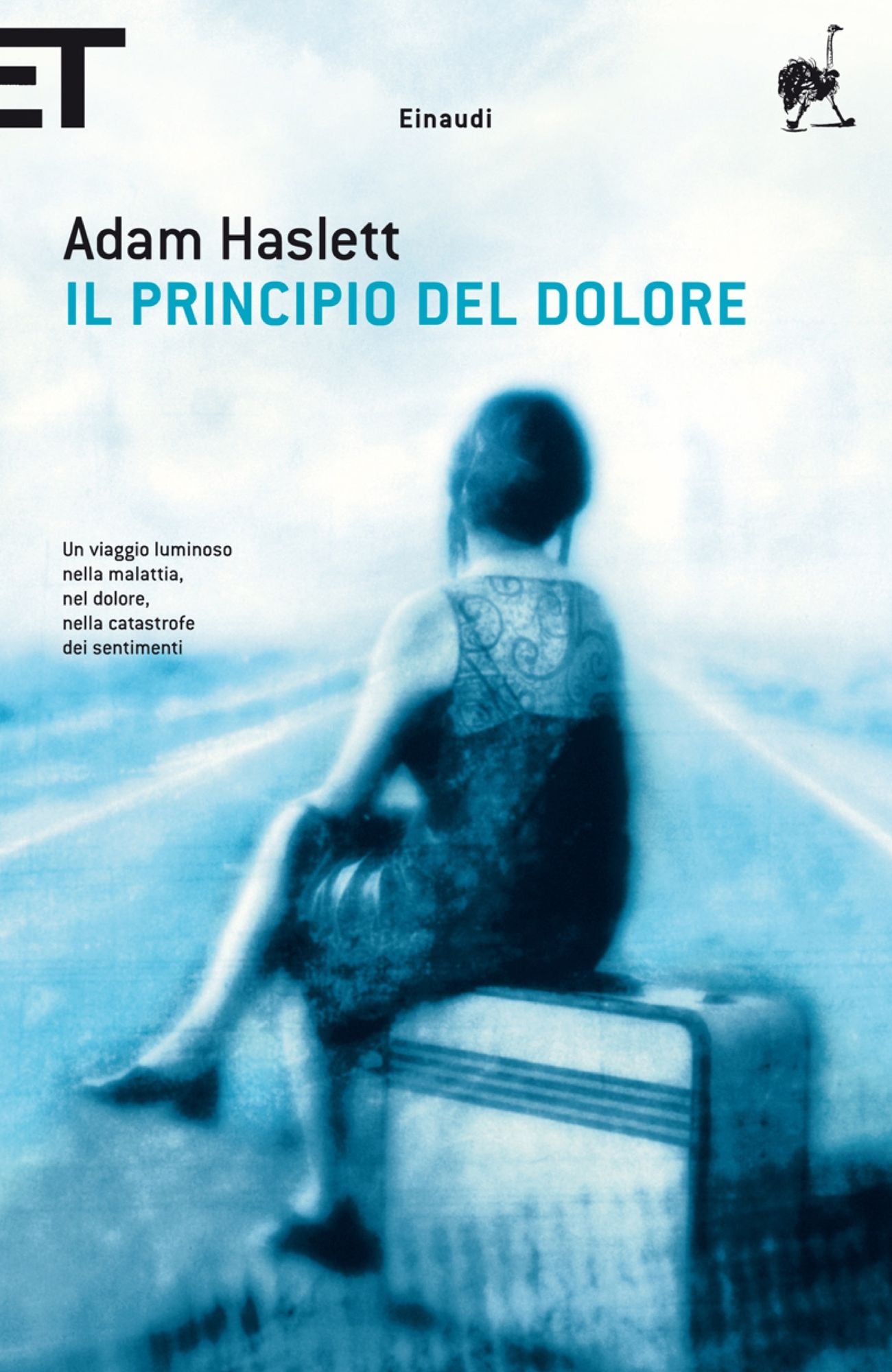 Il principio del dolore (You Are Not a Stranger Here)