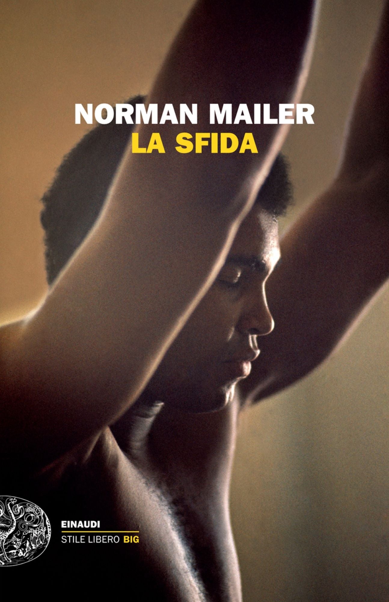 La sfida (The Fight)