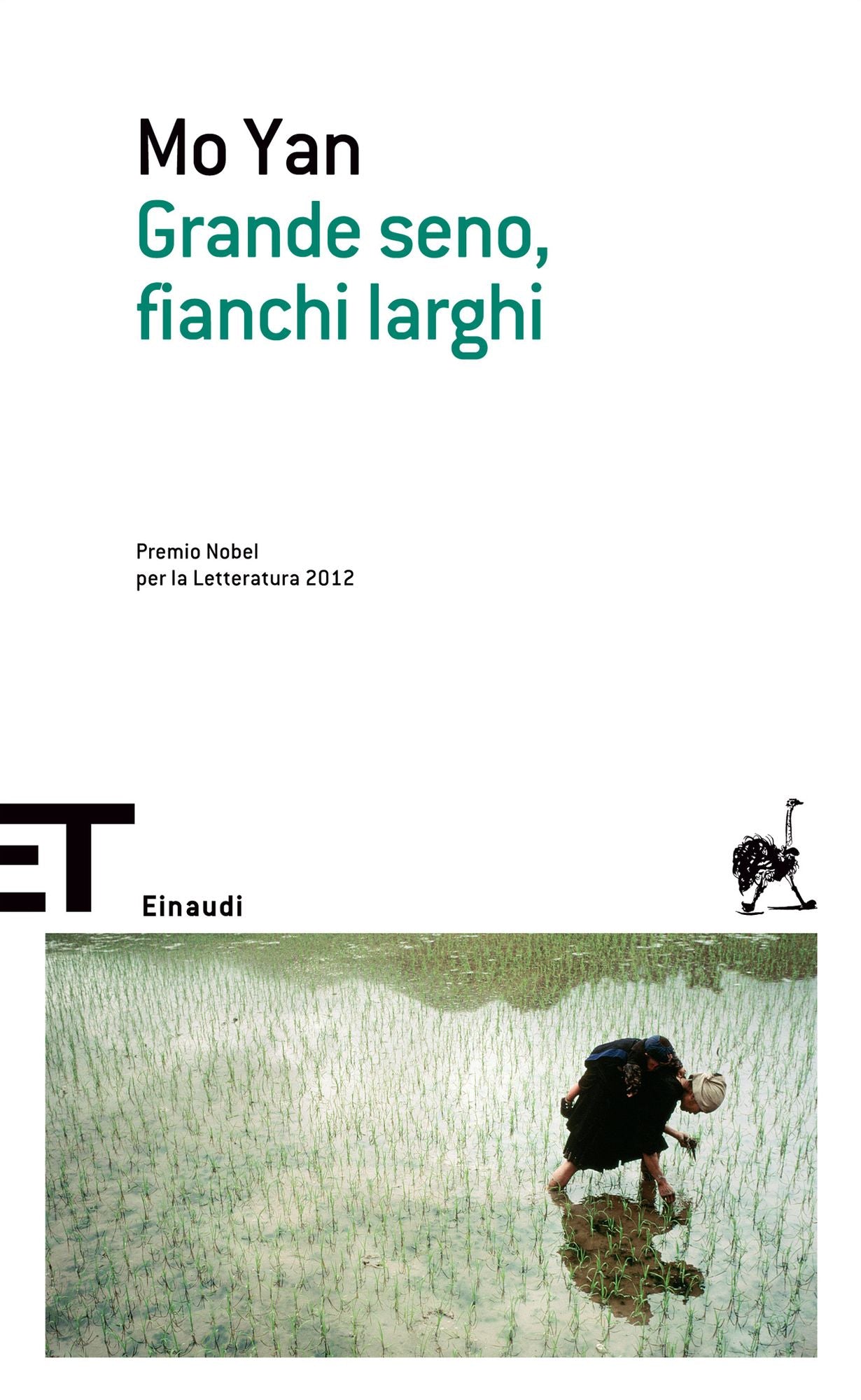 Grande seno, fianchi larghi (Big Breasts and Wide Hips)