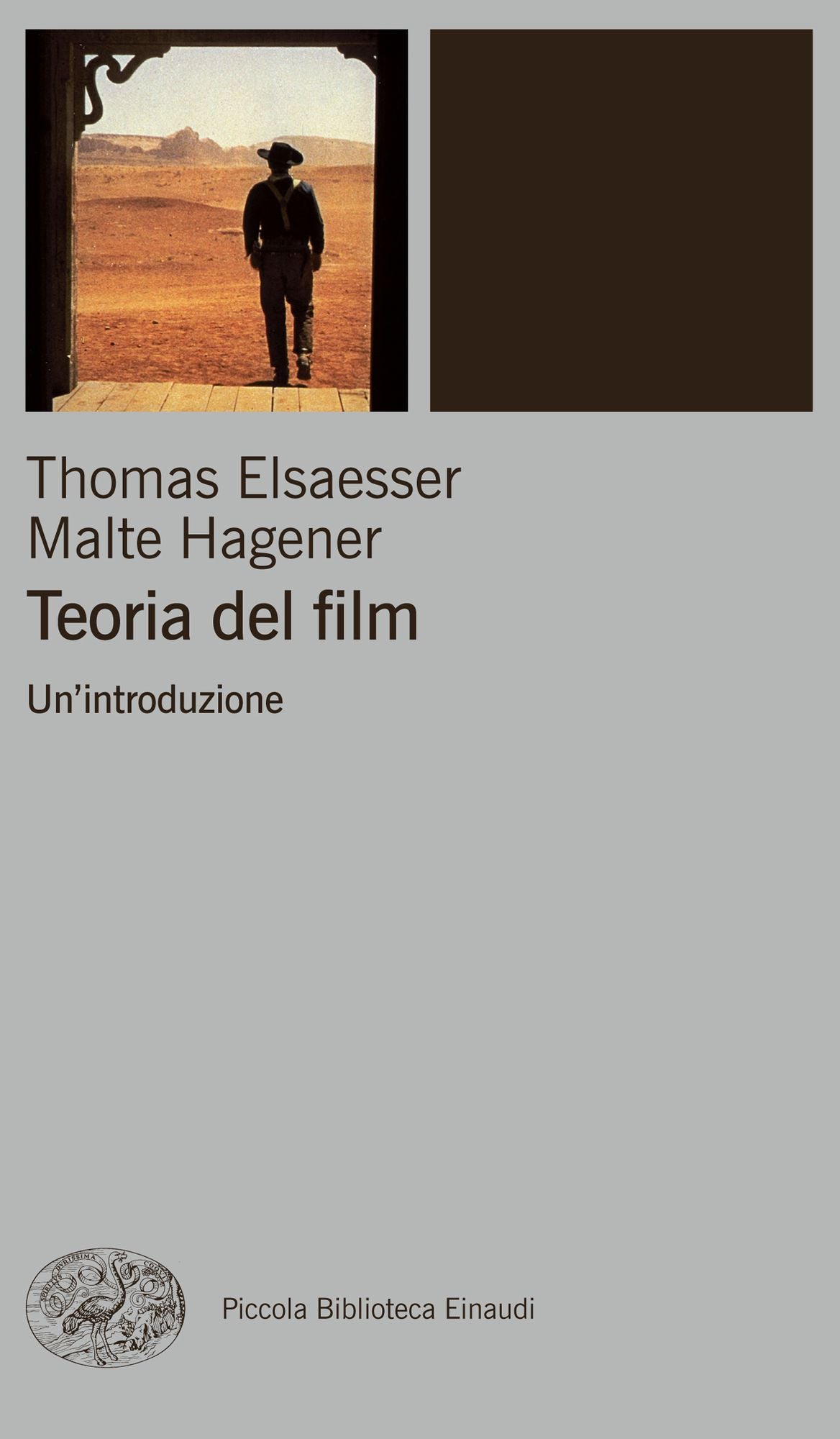 Teoria del film