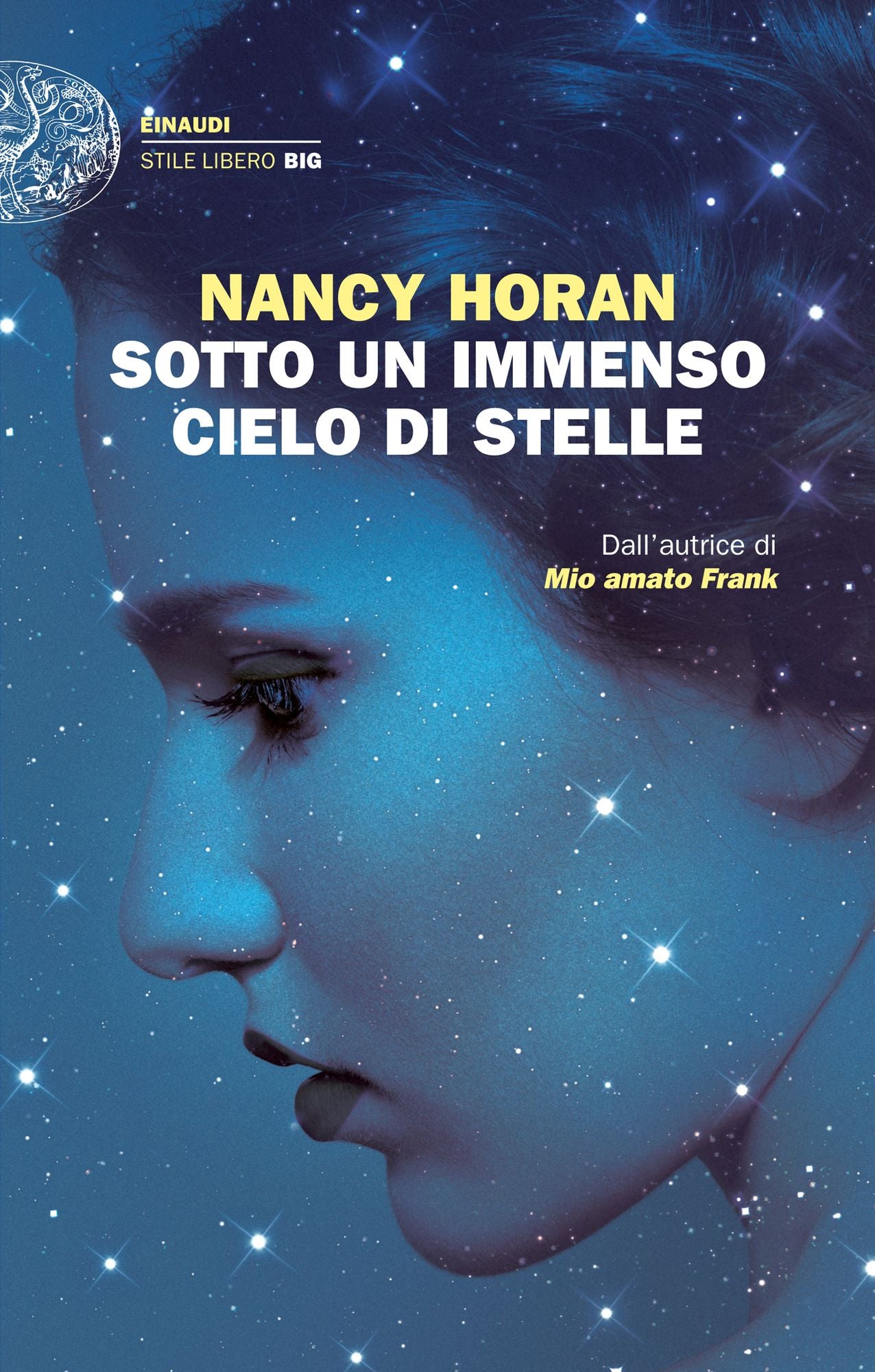 Sotto un immenso cielo di stelle