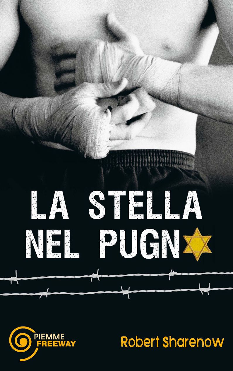 La stella nel pugno