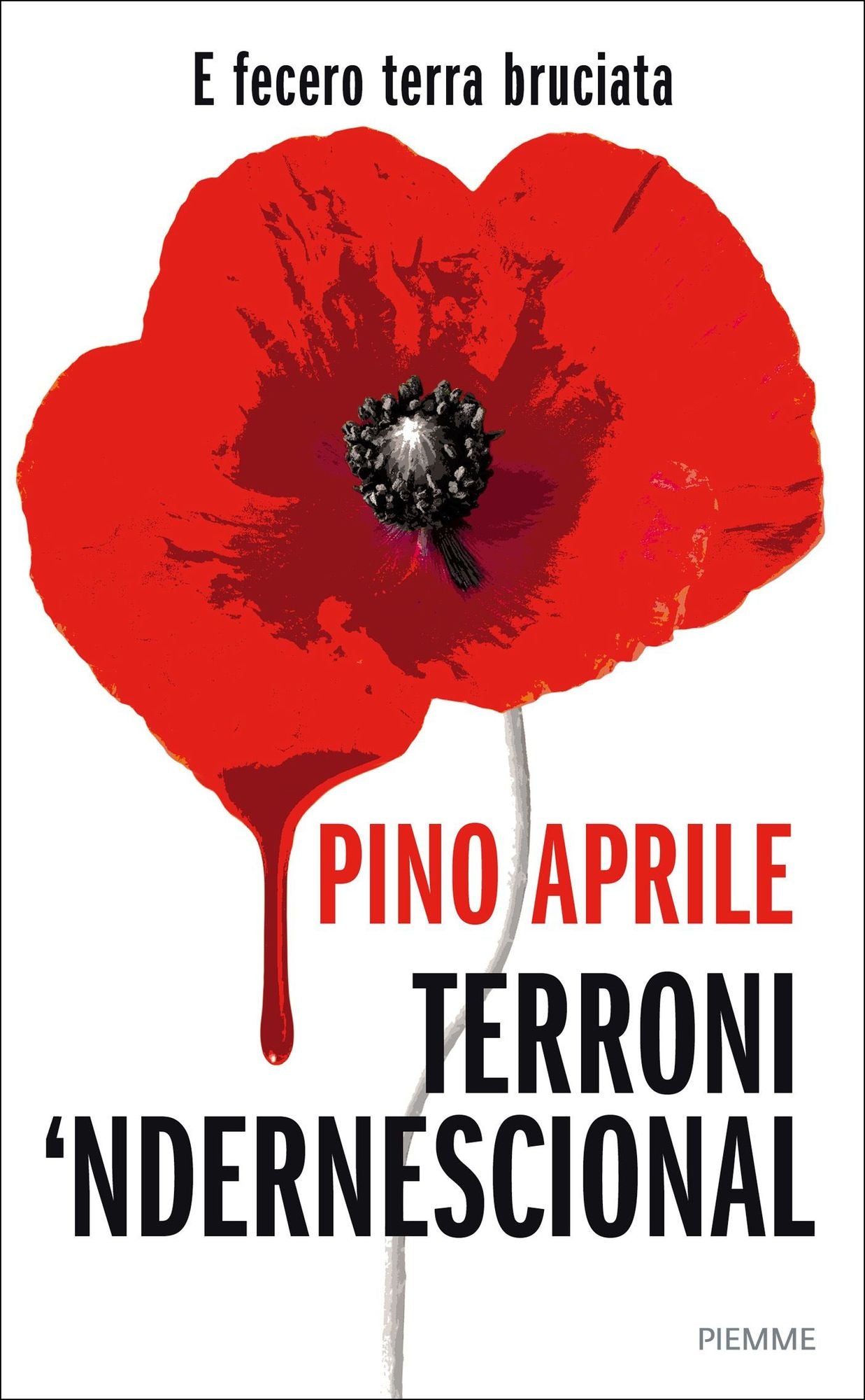 Terroni 'ndernescional
