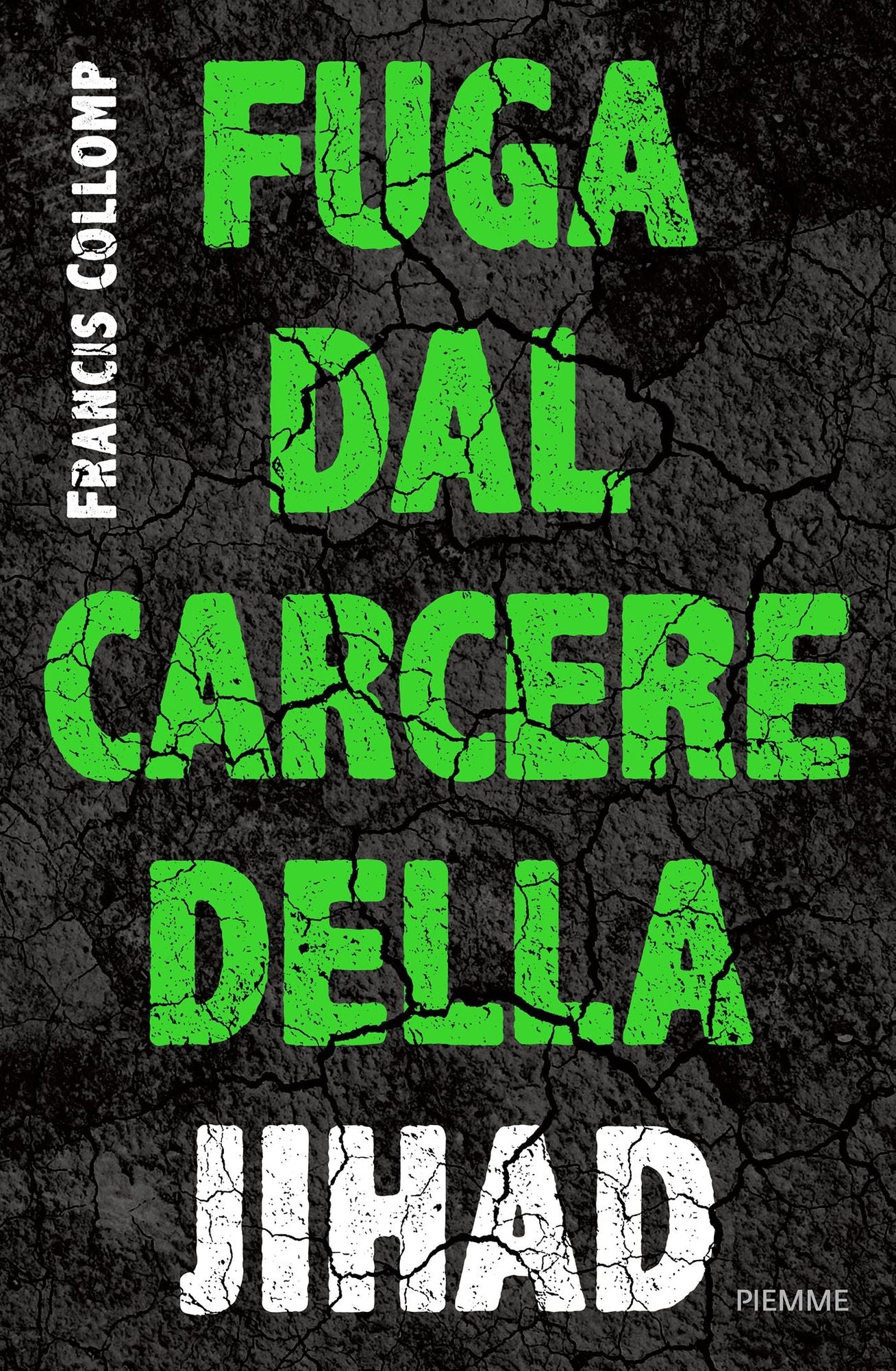Fuga dal carcere della jihad