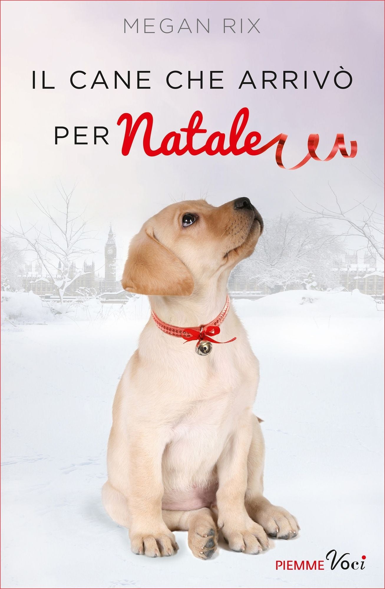 Il cane che arriv&ograve; per Natale