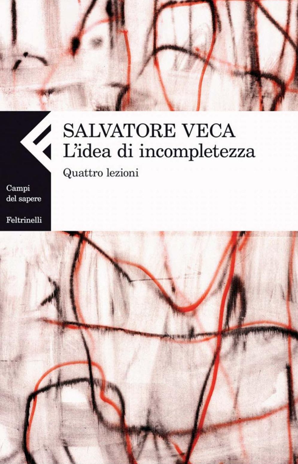 L'idea di incompletezza