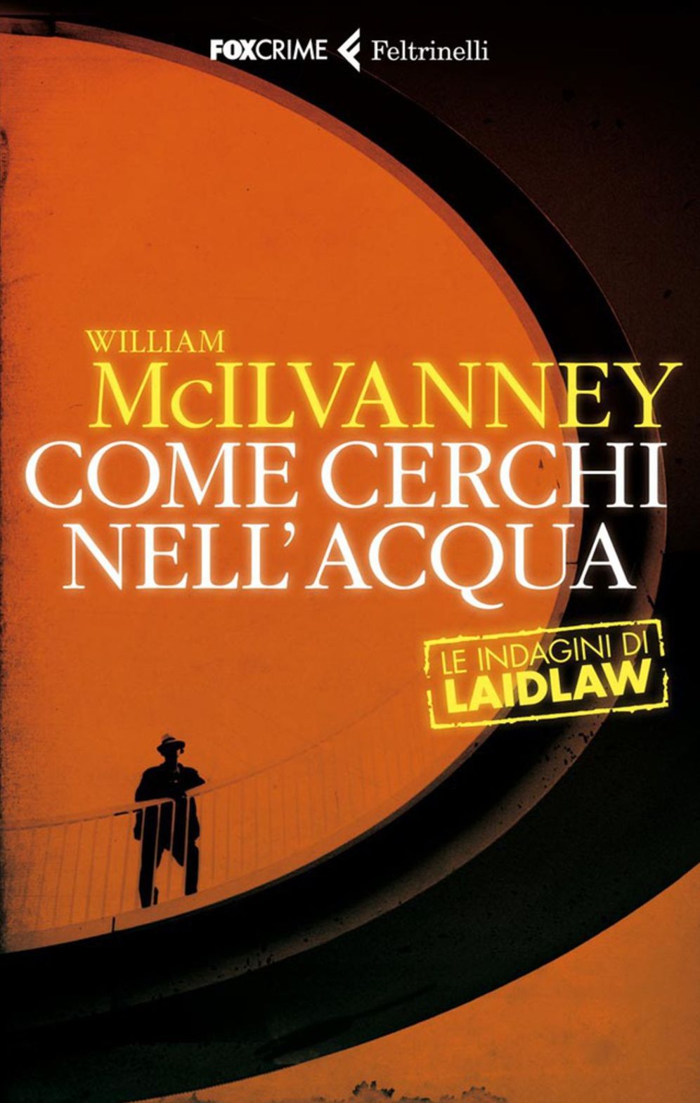 Come cerchi nell'acqua : Le indagini di Laidlaw