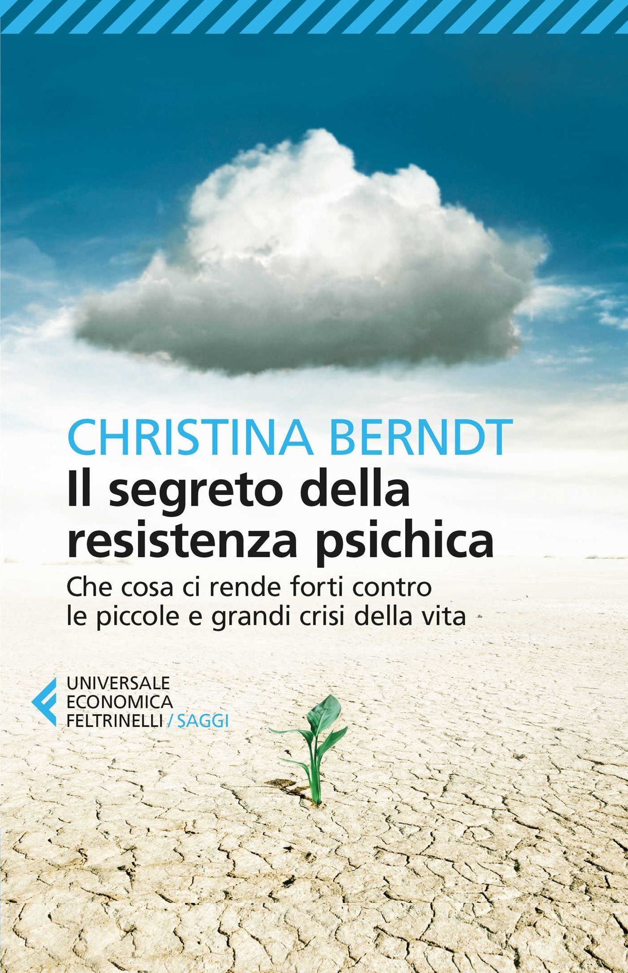 Il segreto della resistenza psichica: Che cosa ci rende forti contro le piccole e grandi crisi della vita