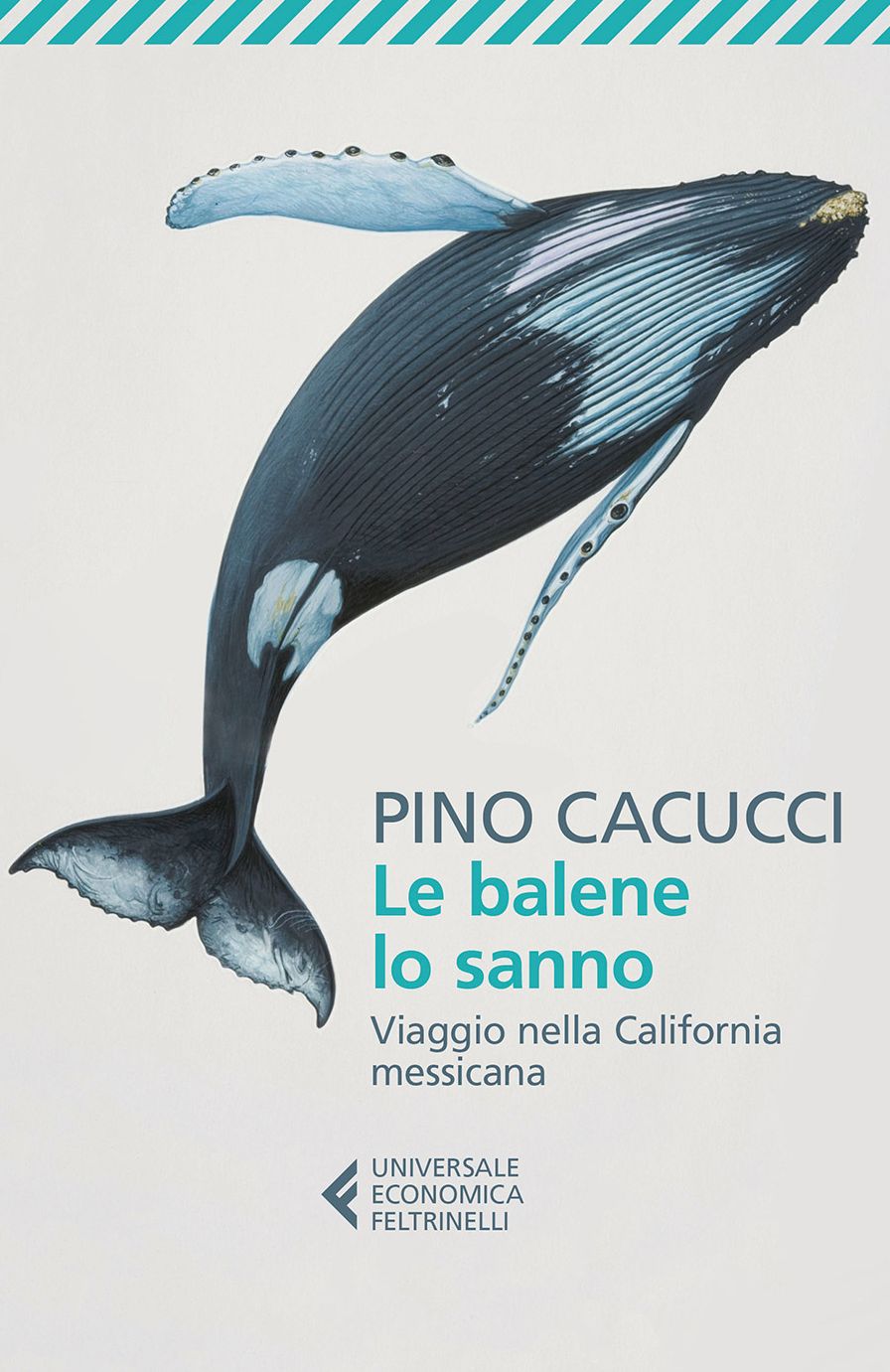 Le balene lo sanno: Viaggio nella California messicana. Con le fotografie di Alberto Poli
