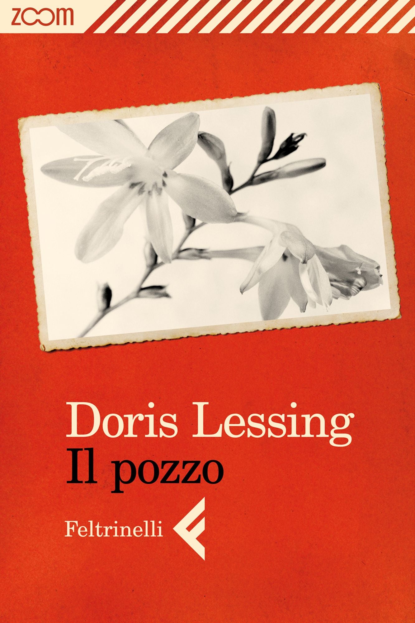 Il pozzo