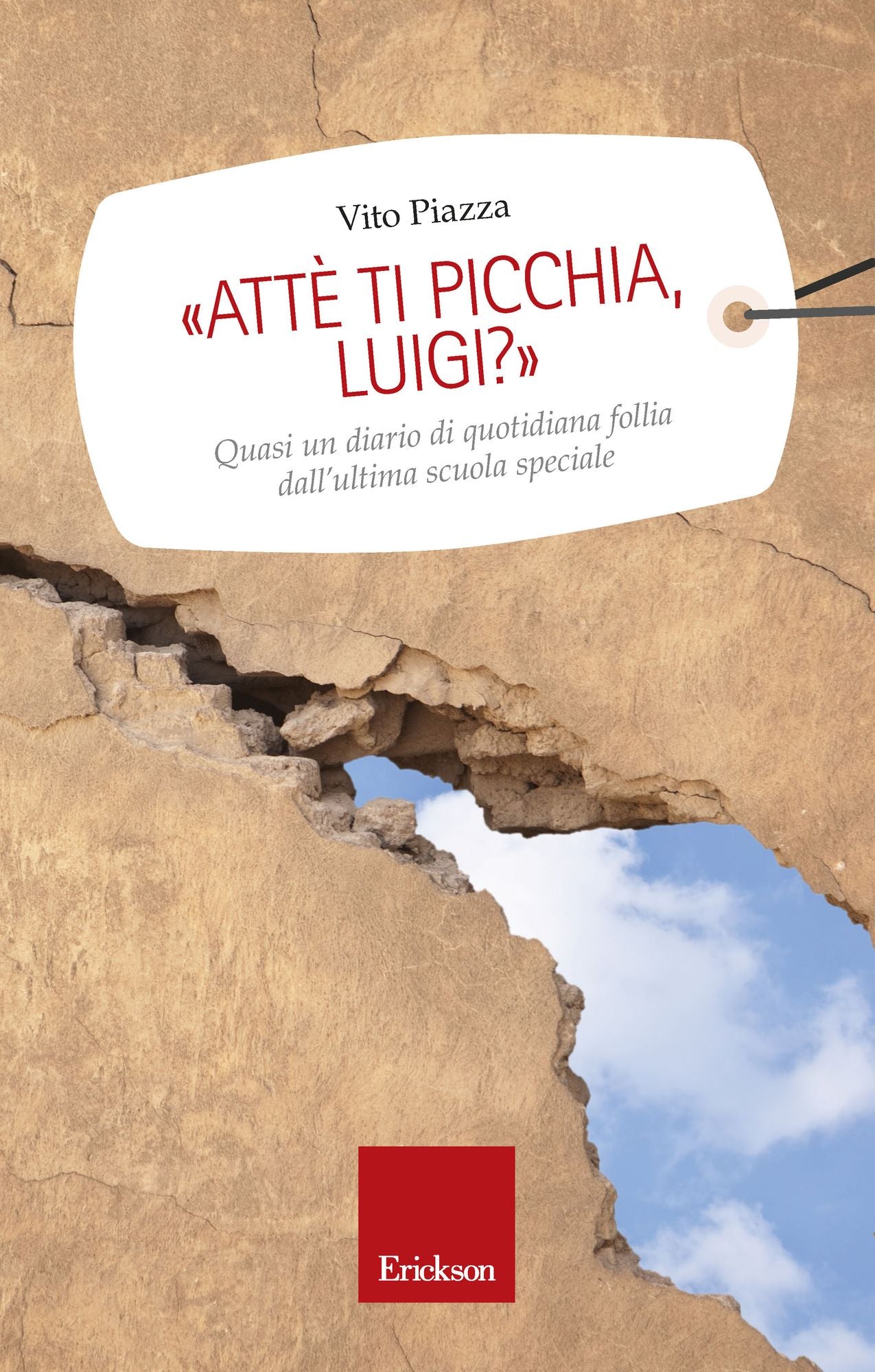 Attè ti picchia, Luigi? Quasi un diario di quotidiana follia dall'ultima scuola speciale