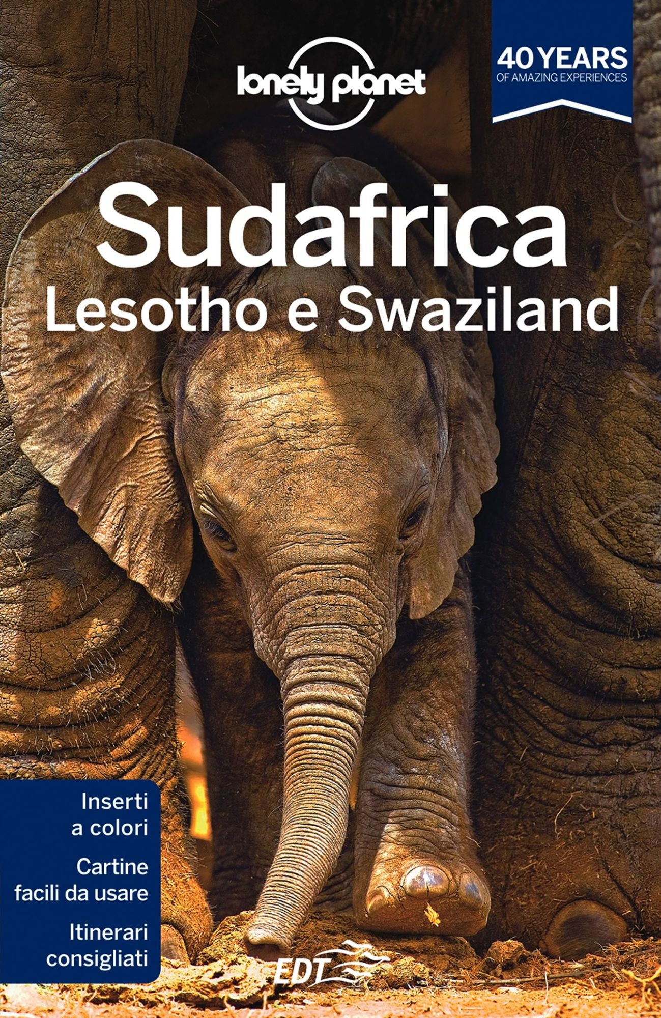 Sudafrica, Lesotho e Swaziland