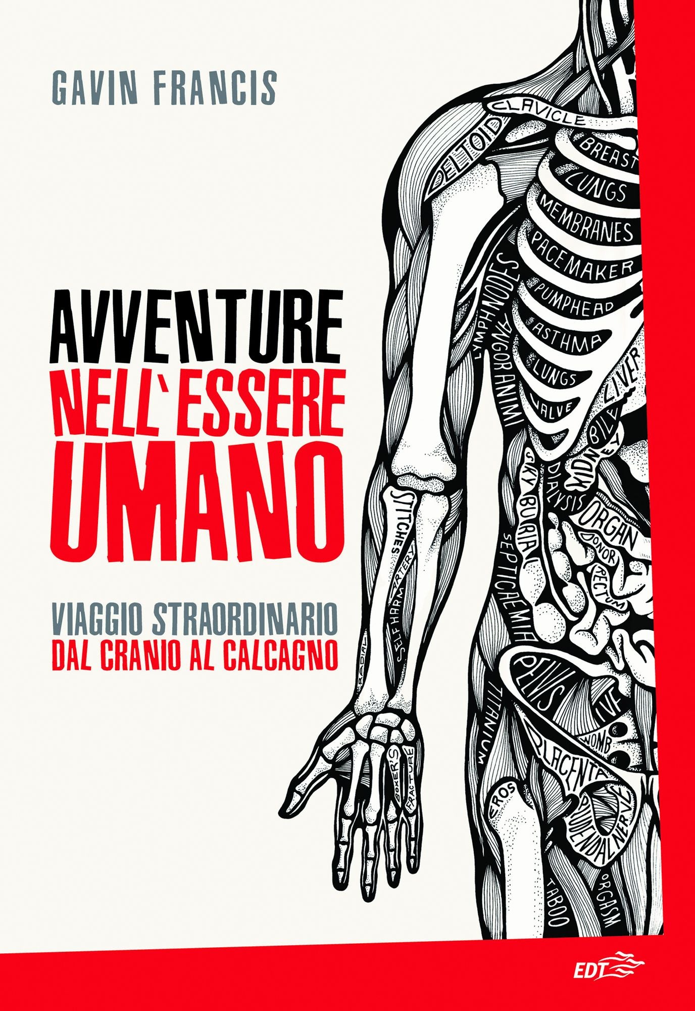 Avventure nell'essere umano: Viaggio straordinario dal cranio al calcagno