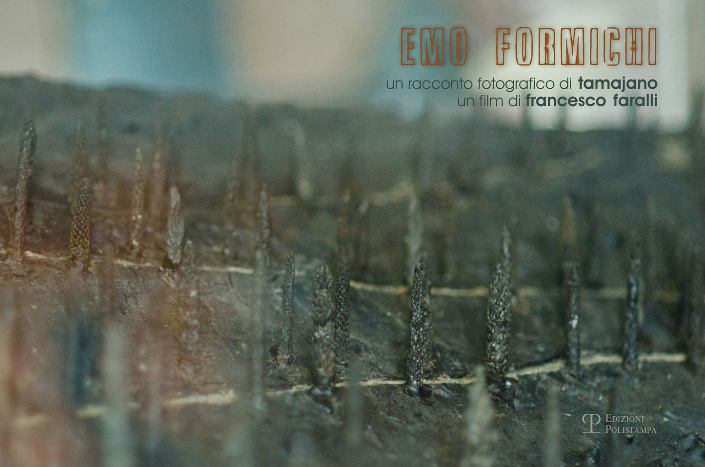 Emo Formichi: Un racconto fotografico di Tamajano, un film di Francesco Faralli / A photographic narrative by Tamajano, a film by Francesco Faralli