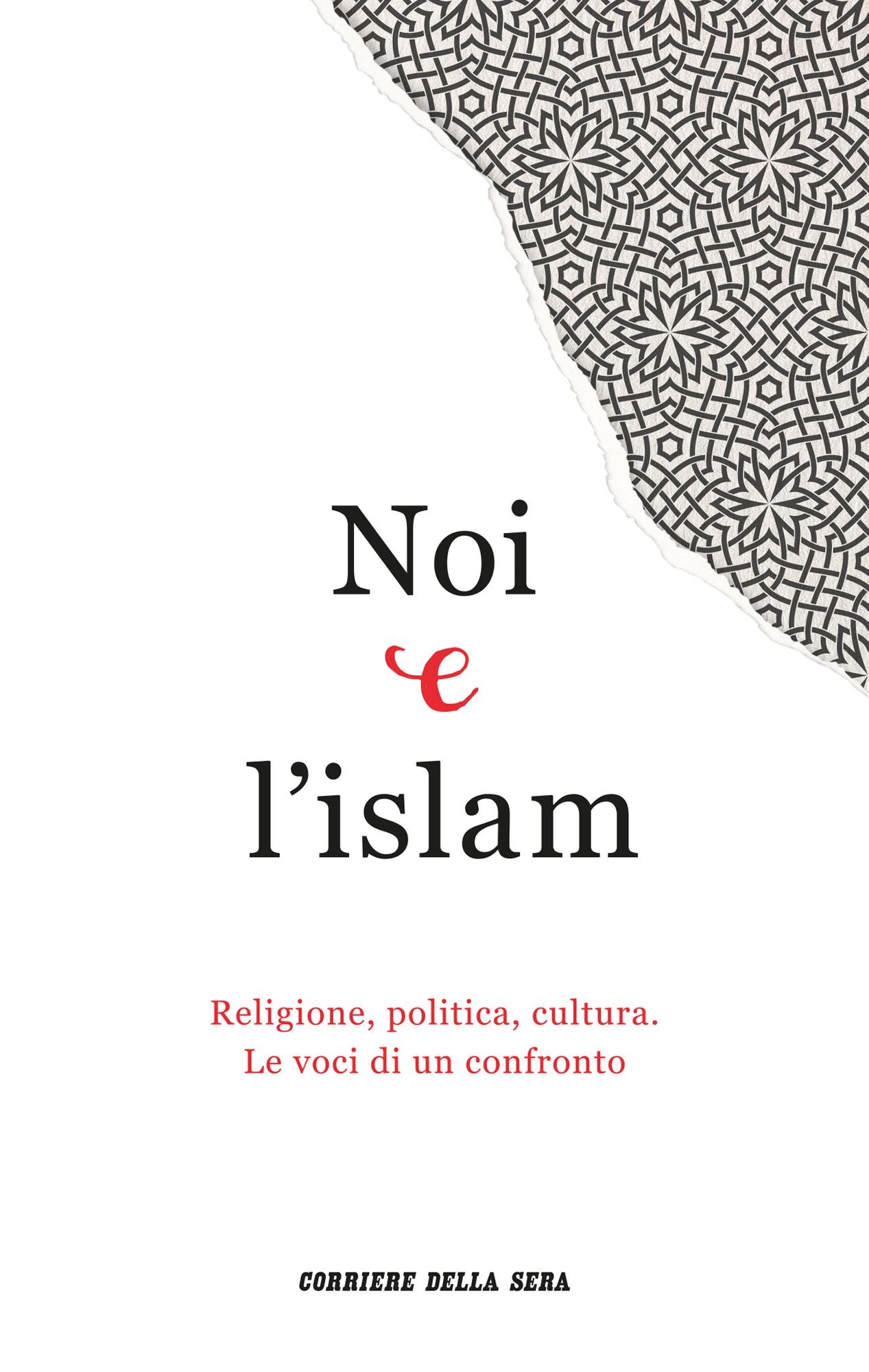 Noi e l'islam: Religione, politica, cultura. Le voci di un confronto