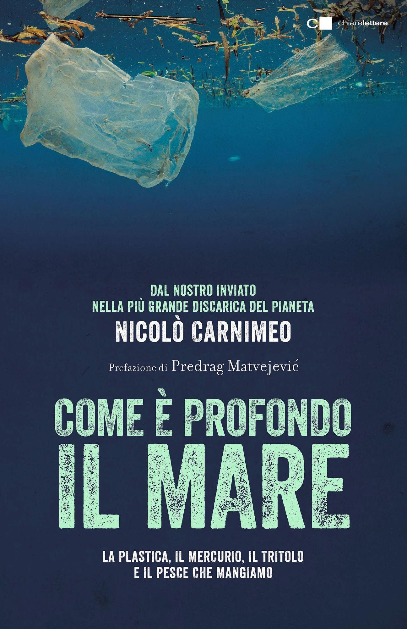 Come è profondo il mare: Dal nostro inviato nella più grande discarica del pianeta. La plastica, il mercurio, il tritolo e il pesce che mangiamo
