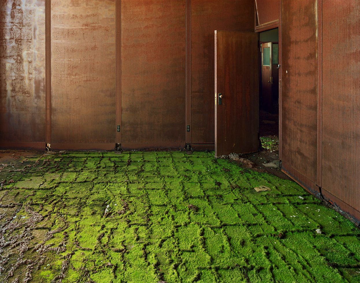 Andrew Moore: Detroit Disassembled