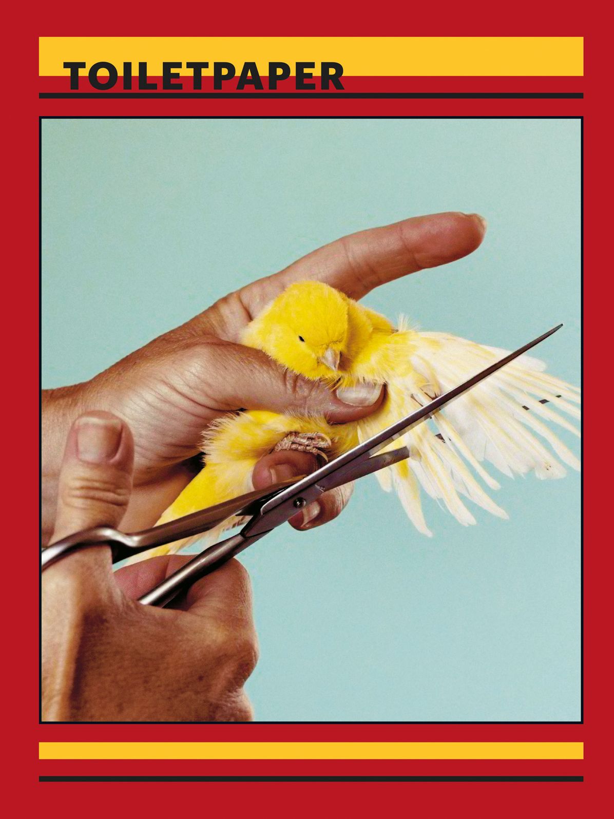 Maurizio Cattelan: Toilet Paper