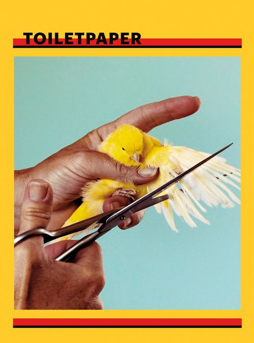 Maurizio Cattelan: Toilet Paper