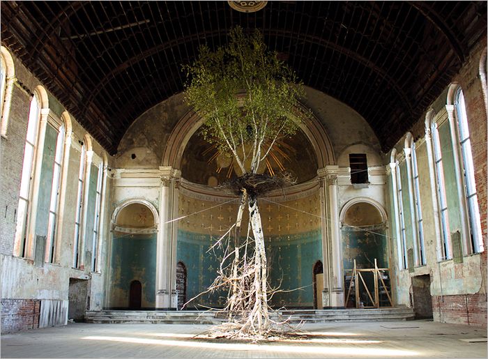 Shinji Turner-Yamamoto: Global Tree Project