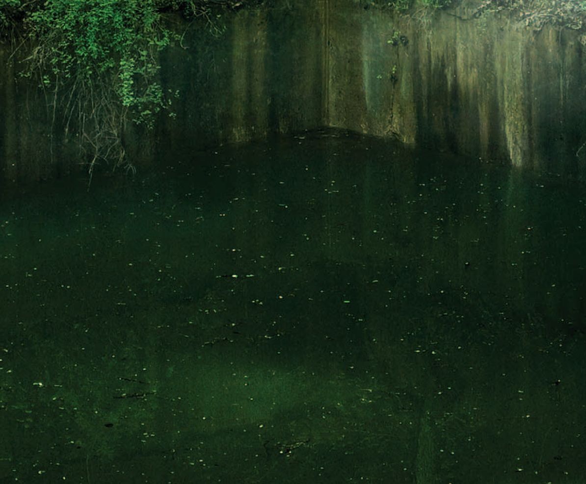 Elena Dorfman: Empire Falling