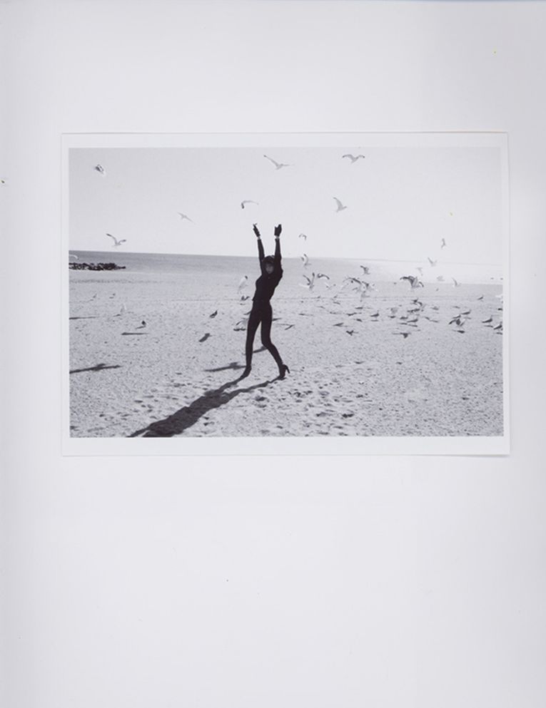 Paz de la Huerta: The Birds Didn't Die over the Winter: Photographs by Alexandra Carr