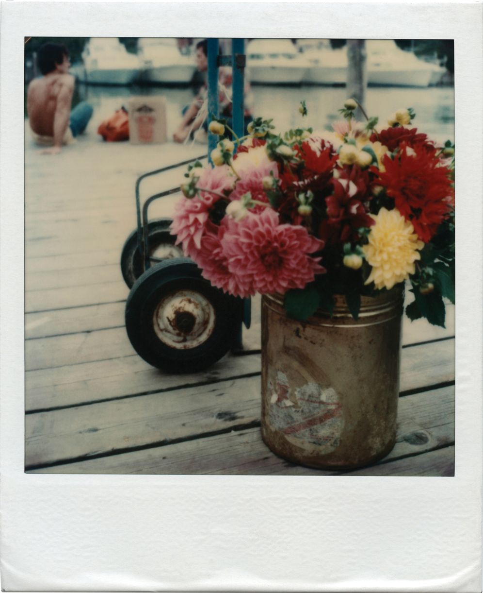 Tom Bianchi: Fire Island Pines: Polaroids 1975-1983