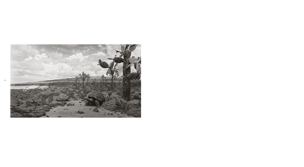 Hiroshi Sugimoto: Dioramas