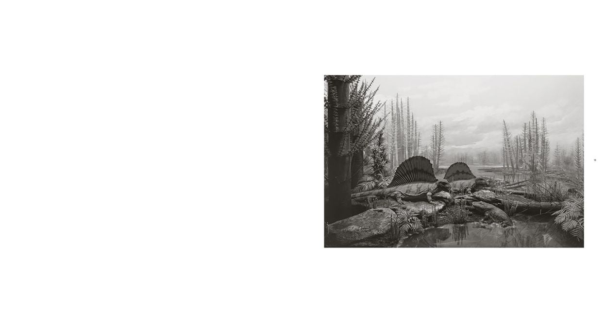 Hiroshi Sugimoto: Dioramas