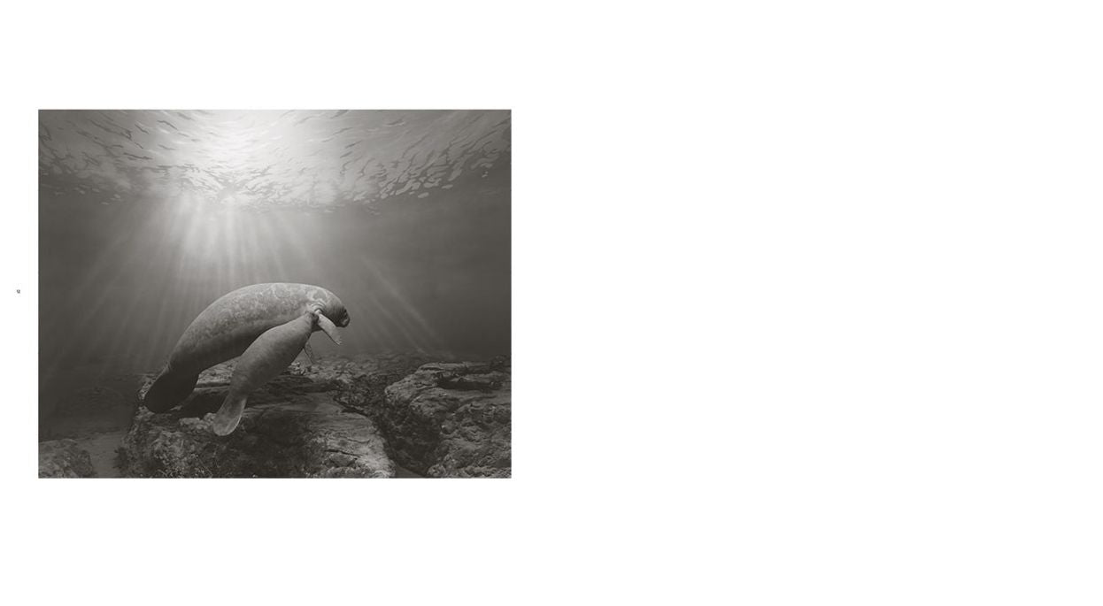 Hiroshi Sugimoto: Dioramas