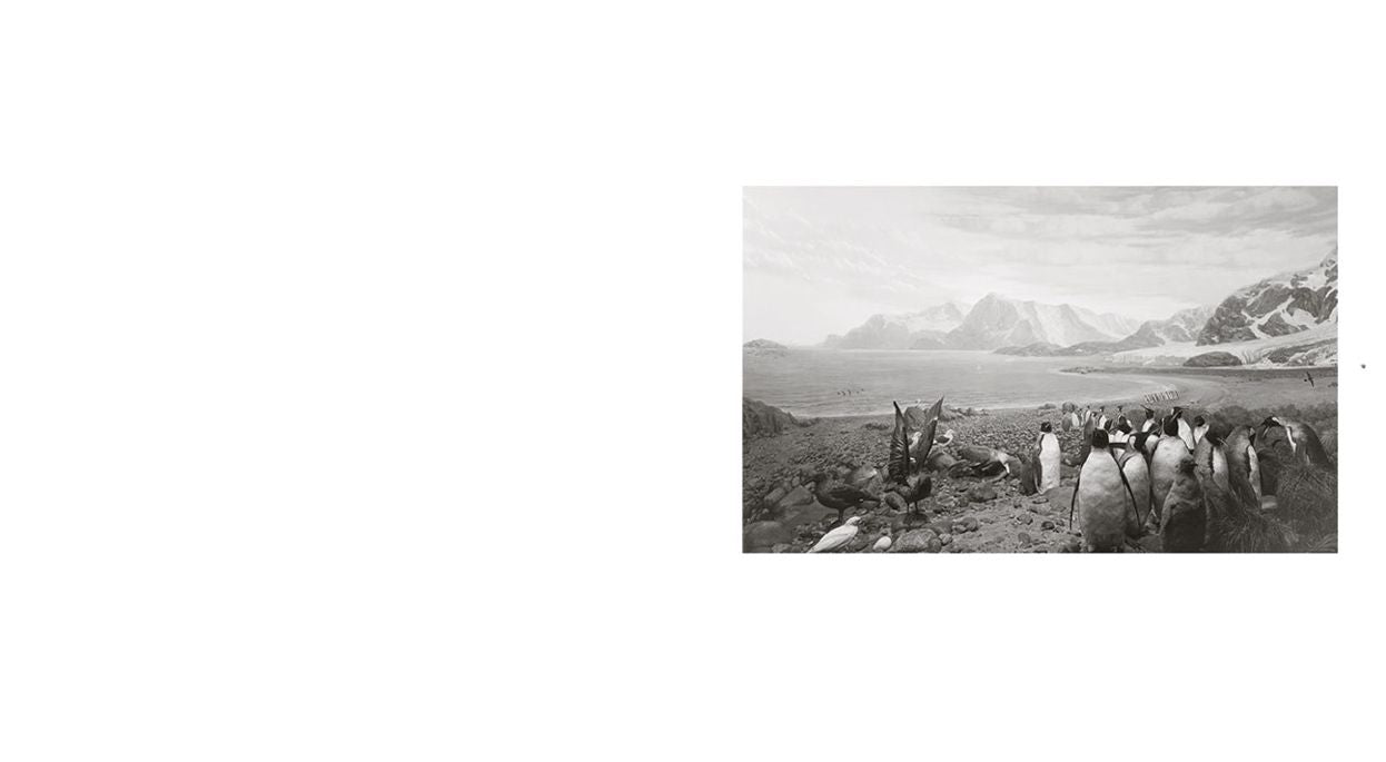 Hiroshi Sugimoto: Dioramas