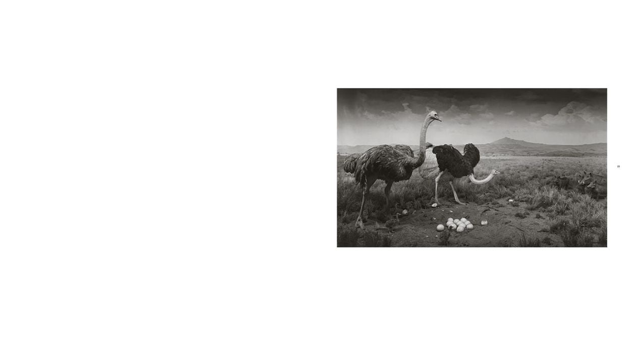 Hiroshi Sugimoto: Dioramas