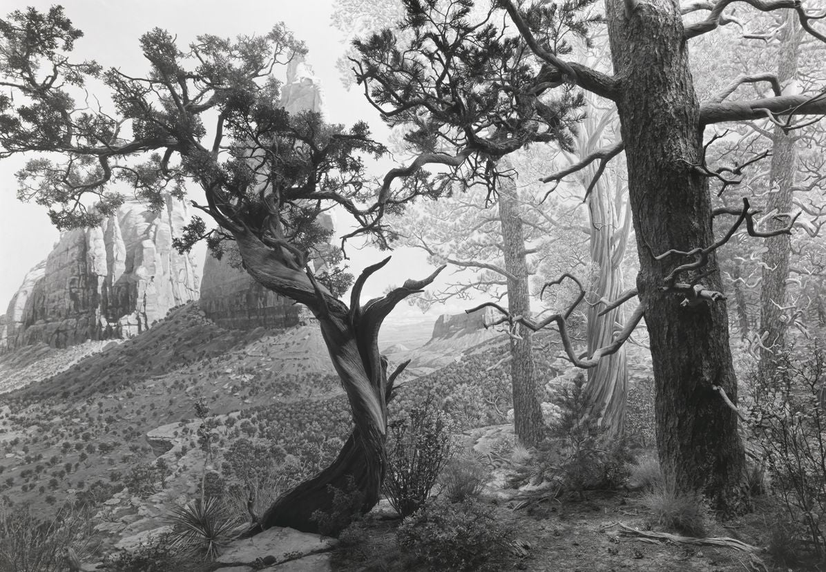 Hiroshi Sugimoto: Dioramas
