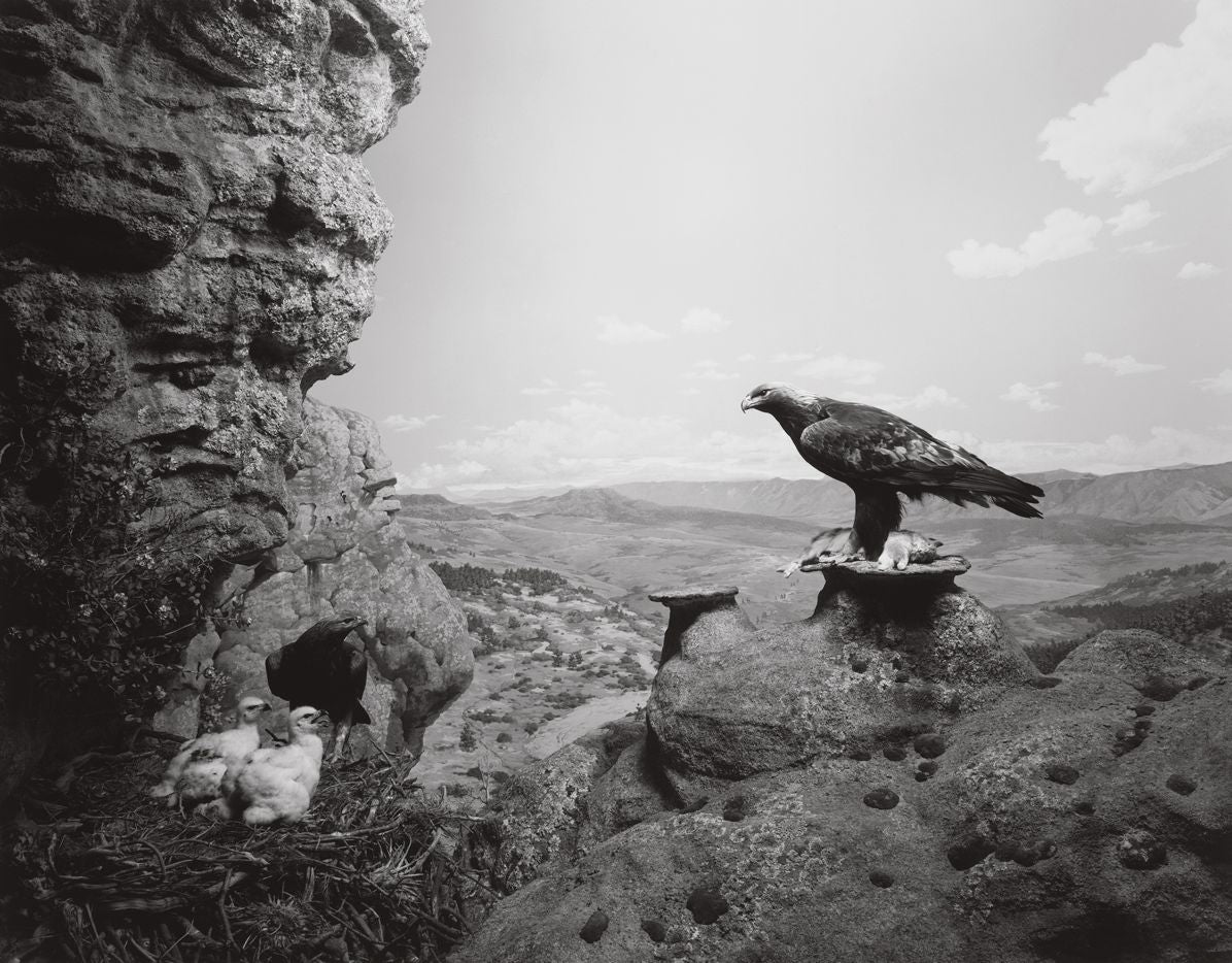 Hiroshi Sugimoto: Dioramas