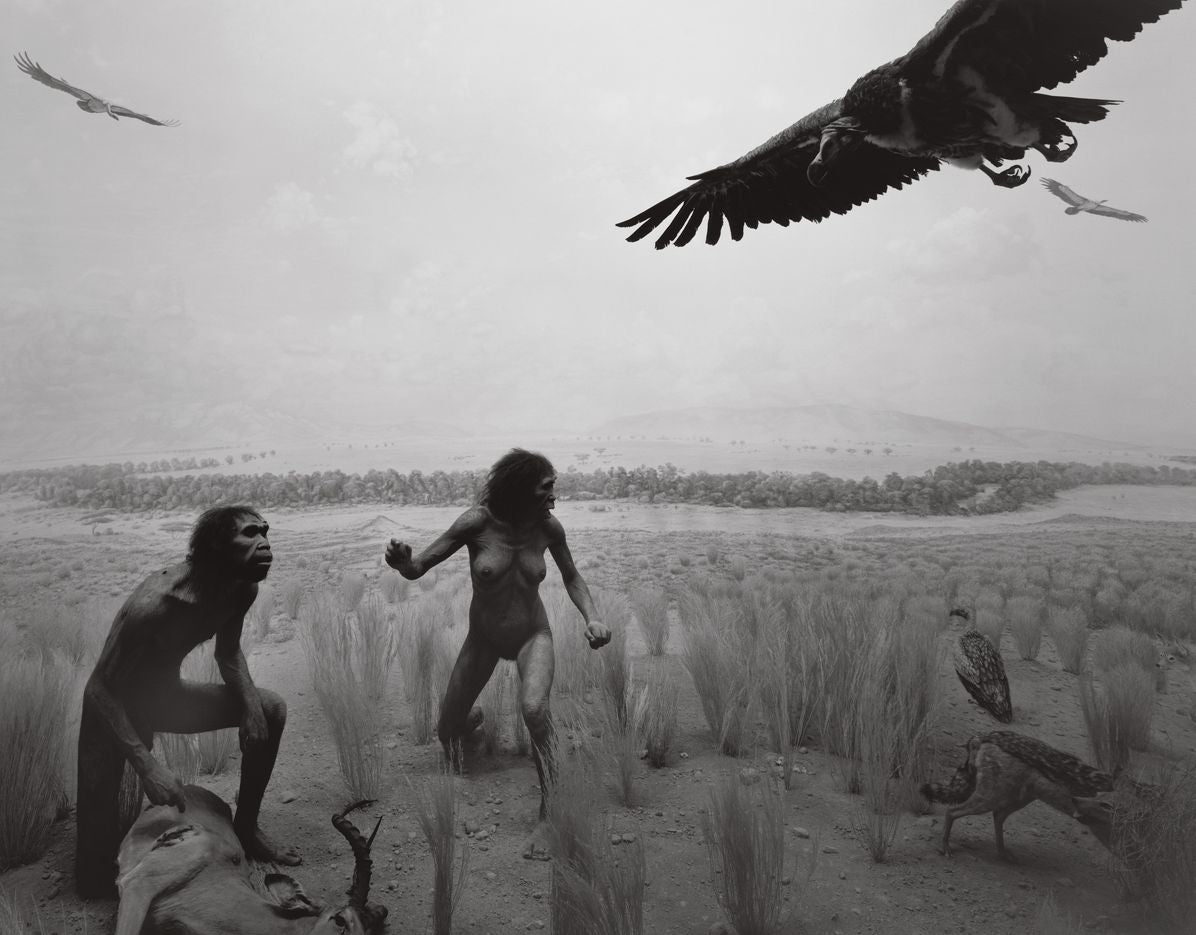 Hiroshi Sugimoto: Dioramas