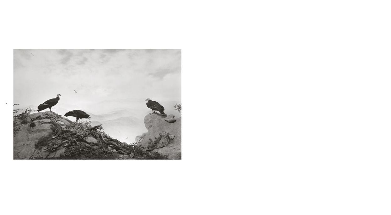 Hiroshi Sugimoto: Dioramas