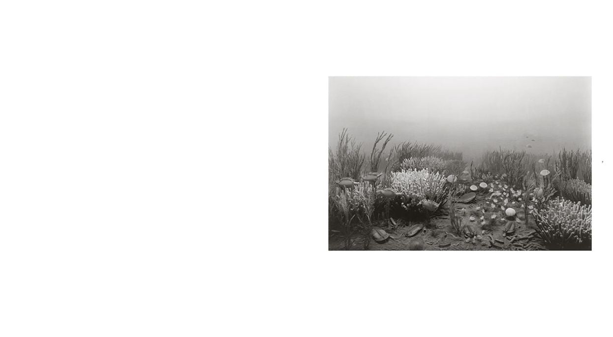 Hiroshi Sugimoto: Dioramas