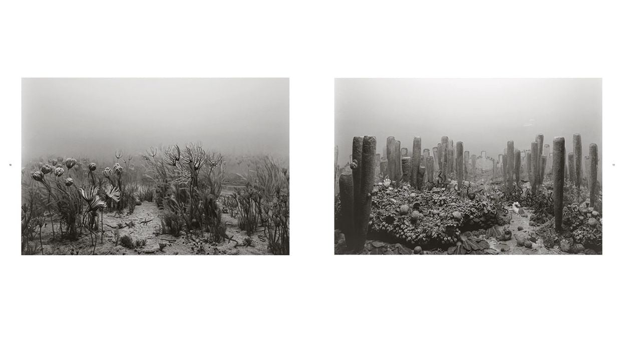 Hiroshi Sugimoto: Dioramas