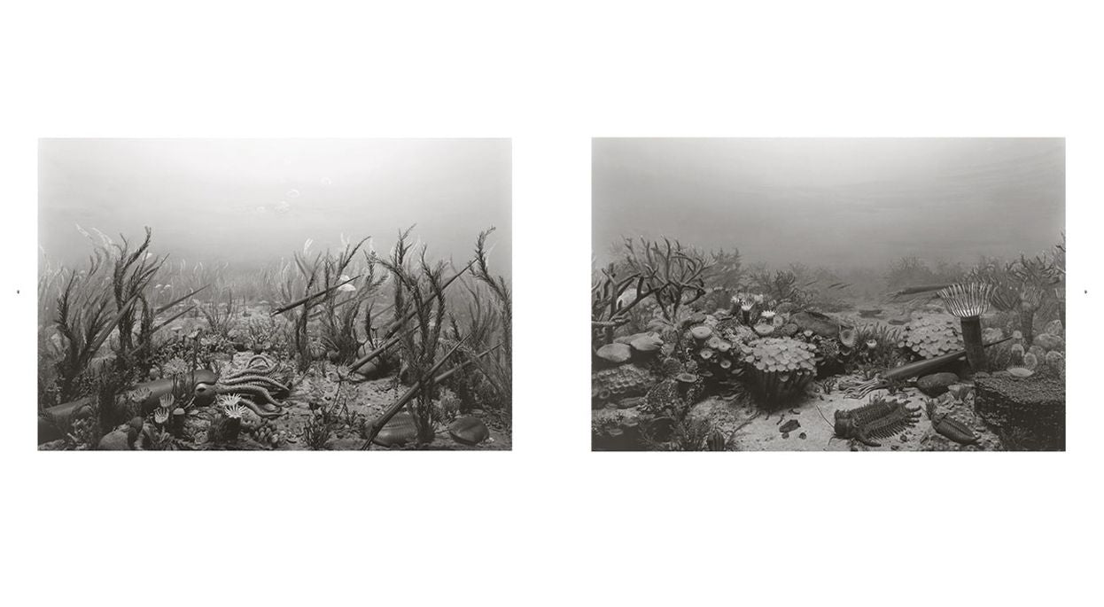 Hiroshi Sugimoto: Dioramas
