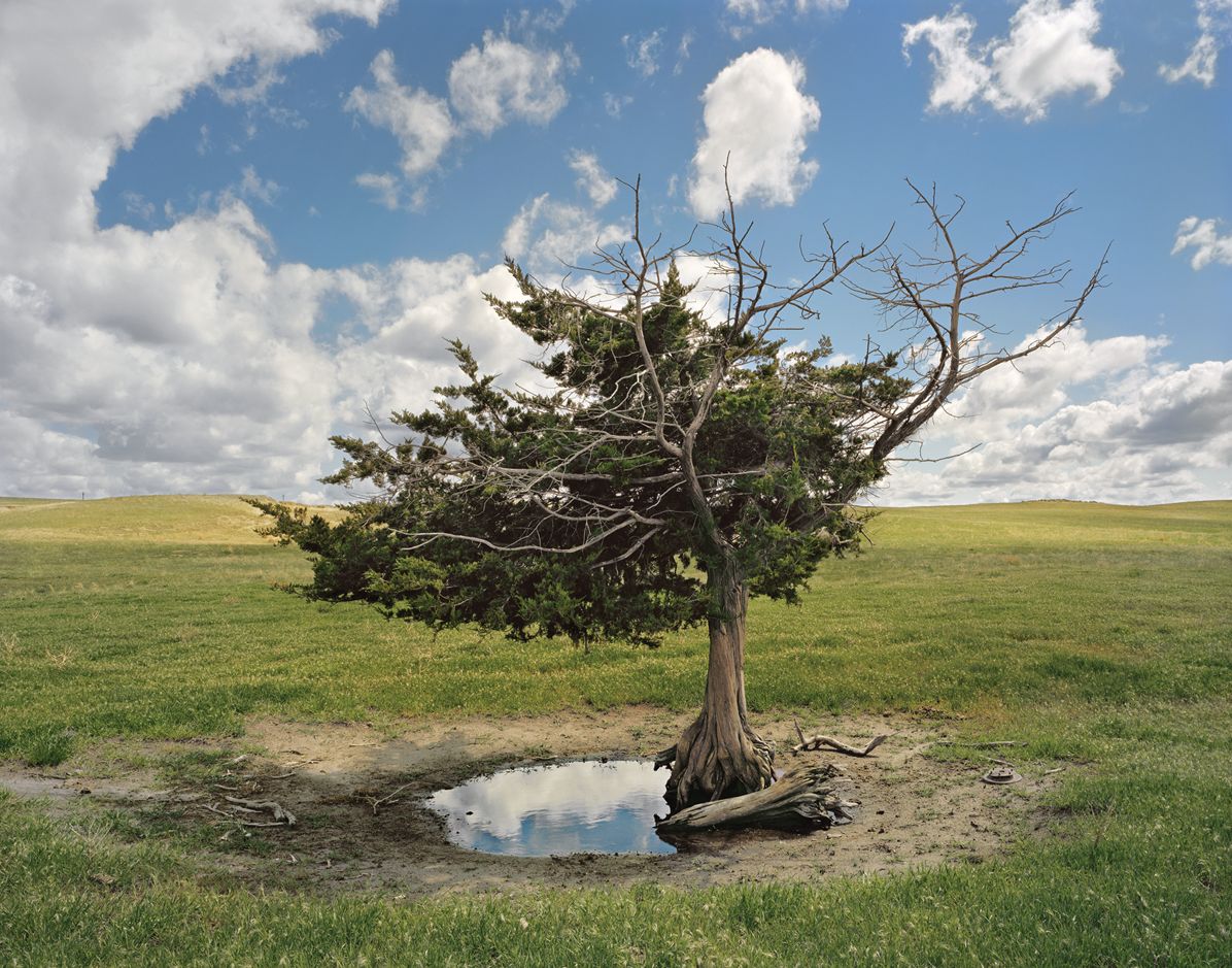 Andrew Moore: Dirt Meridian