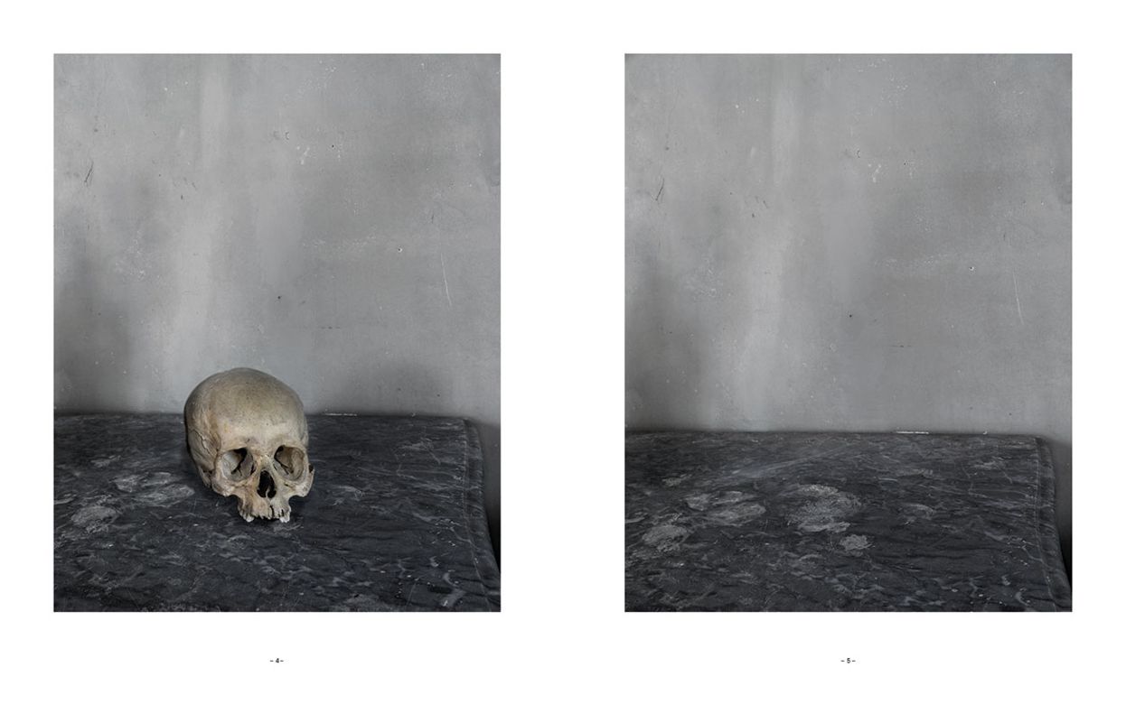 Joel Meyerowitz: CÃ¯Â¿Â½zanne's Objects