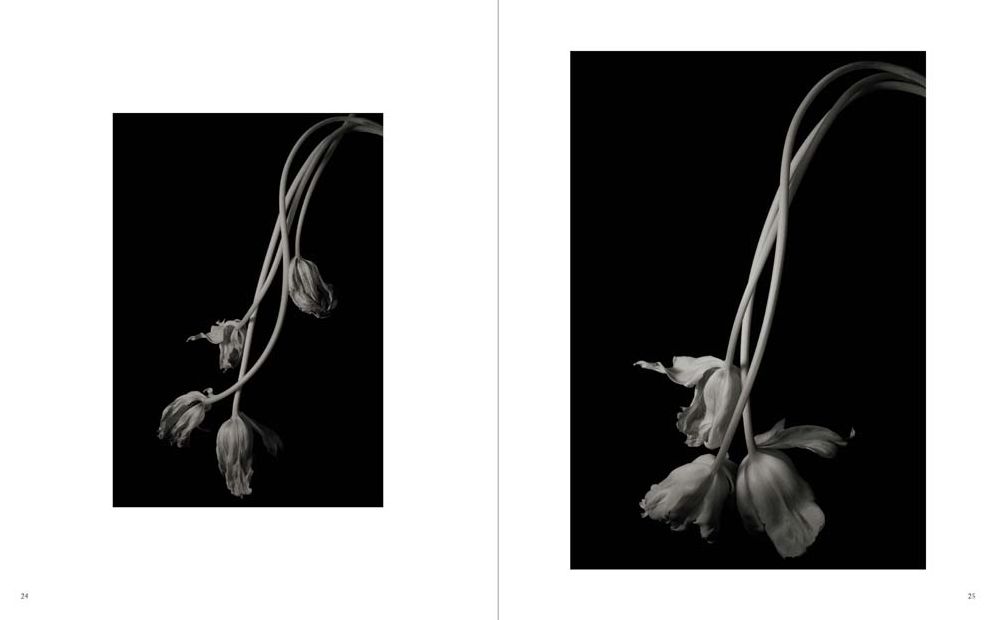 Kenro Izu: Seduction