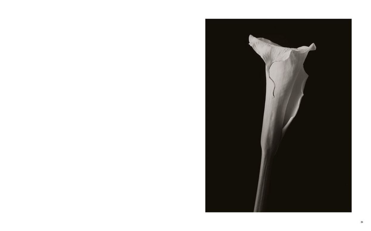 Kenro Izu: Seduction