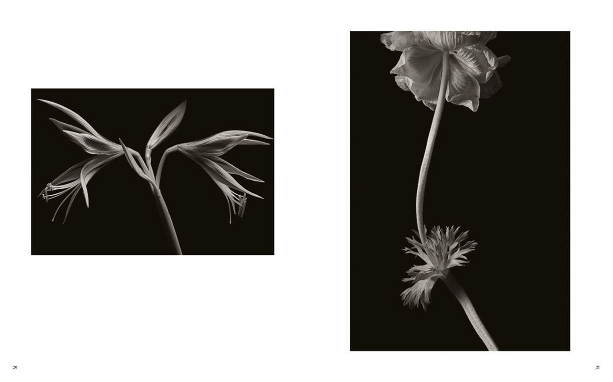 Kenro Izu: Seduction