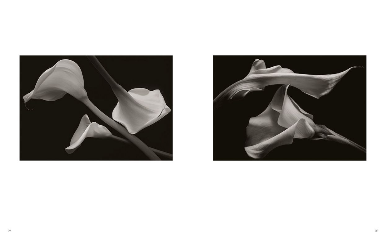 Kenro Izu: Seduction
