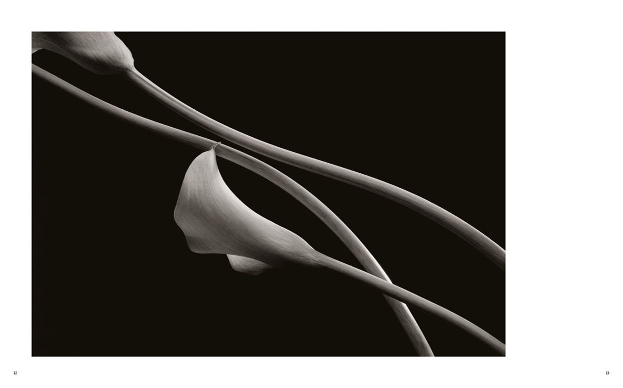 Kenro Izu: Seduction