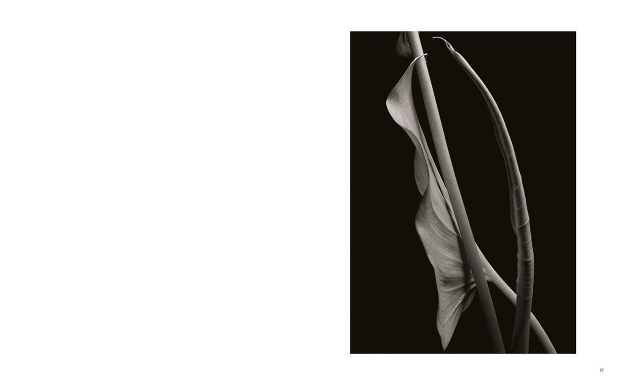 Kenro Izu: Seduction