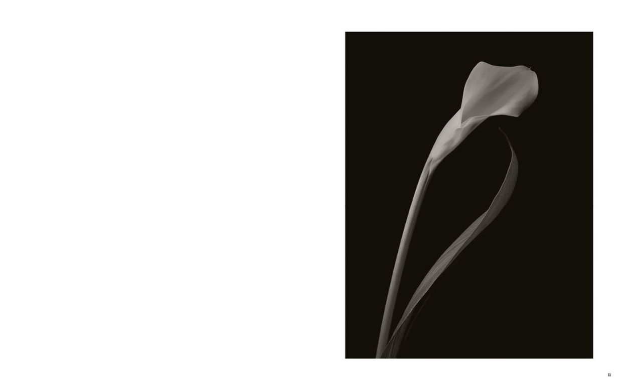 Kenro Izu: Seduction
